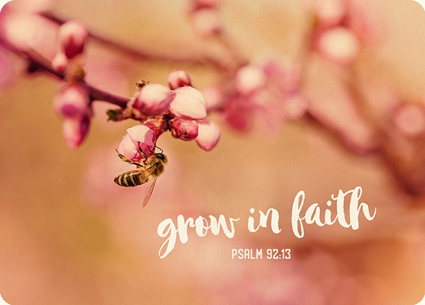 XL-Postkarte Big Blessing - Grow in faith XL-Postkarte Big Blessing - Grow in faith
