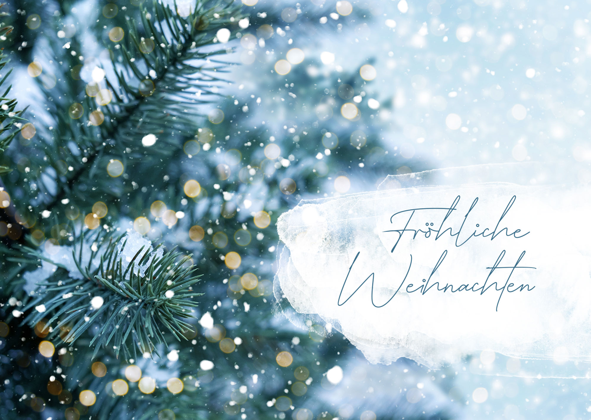 Postkarte – Fröhliche Weihnachten (Zweige) – Weihnachten Postkarte - Fröhliche Weihnachten (Zweige) – Weihnachten
