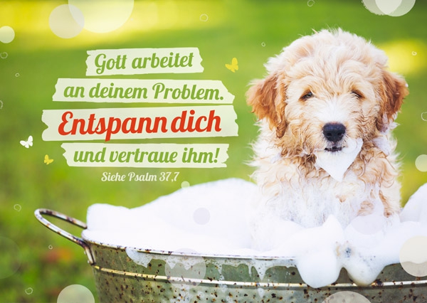 Postkarte - Entspann dich und vertraue Postkarte - Entspann dich und vertraue