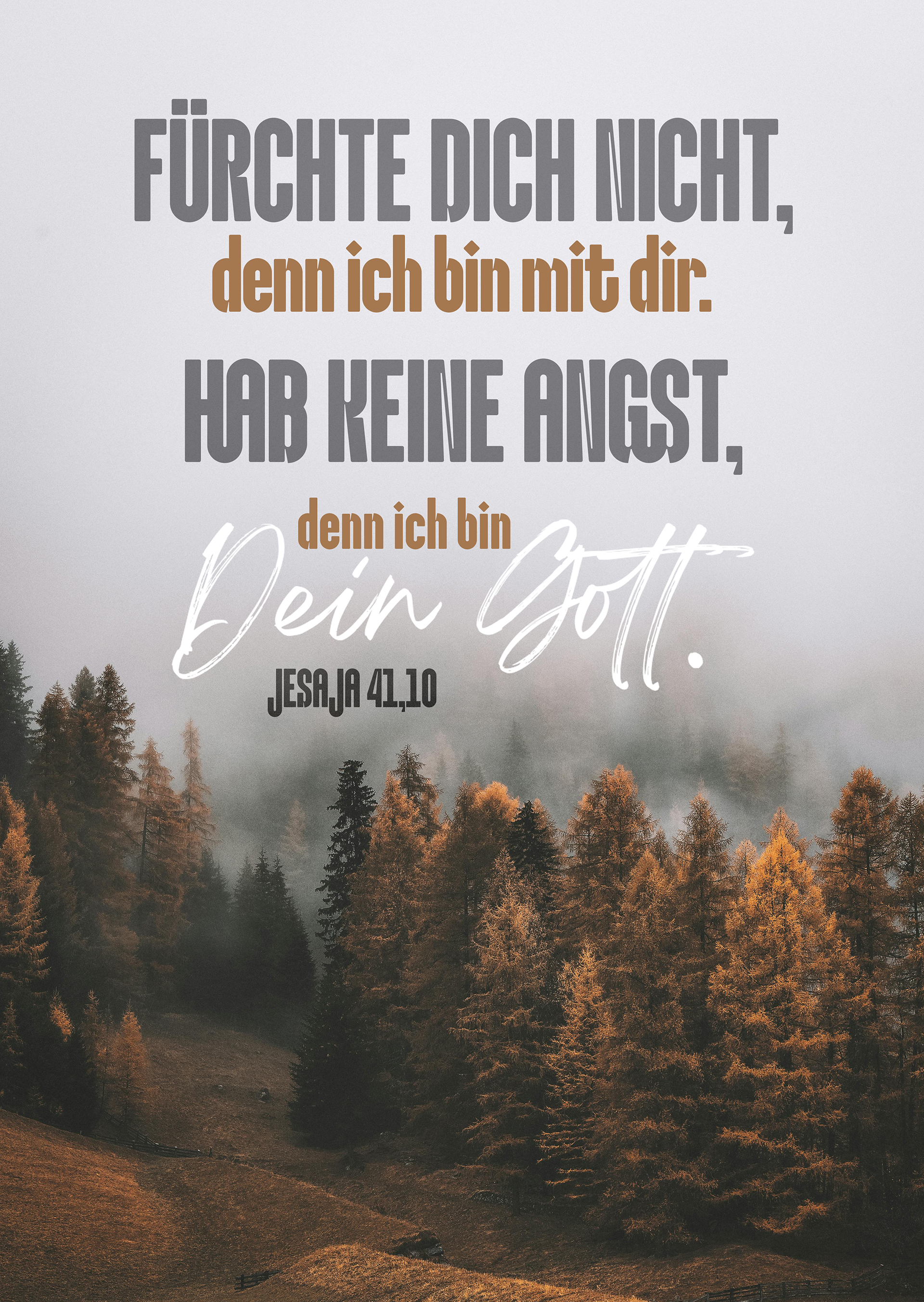 Poster - Jahreslosung 2027 - Fürchte dich nicht - Wald im Nebel