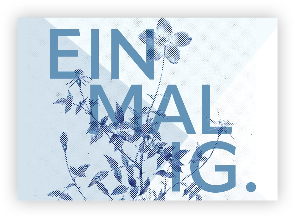 Mini – Einmalig. Mini - Einmalig.