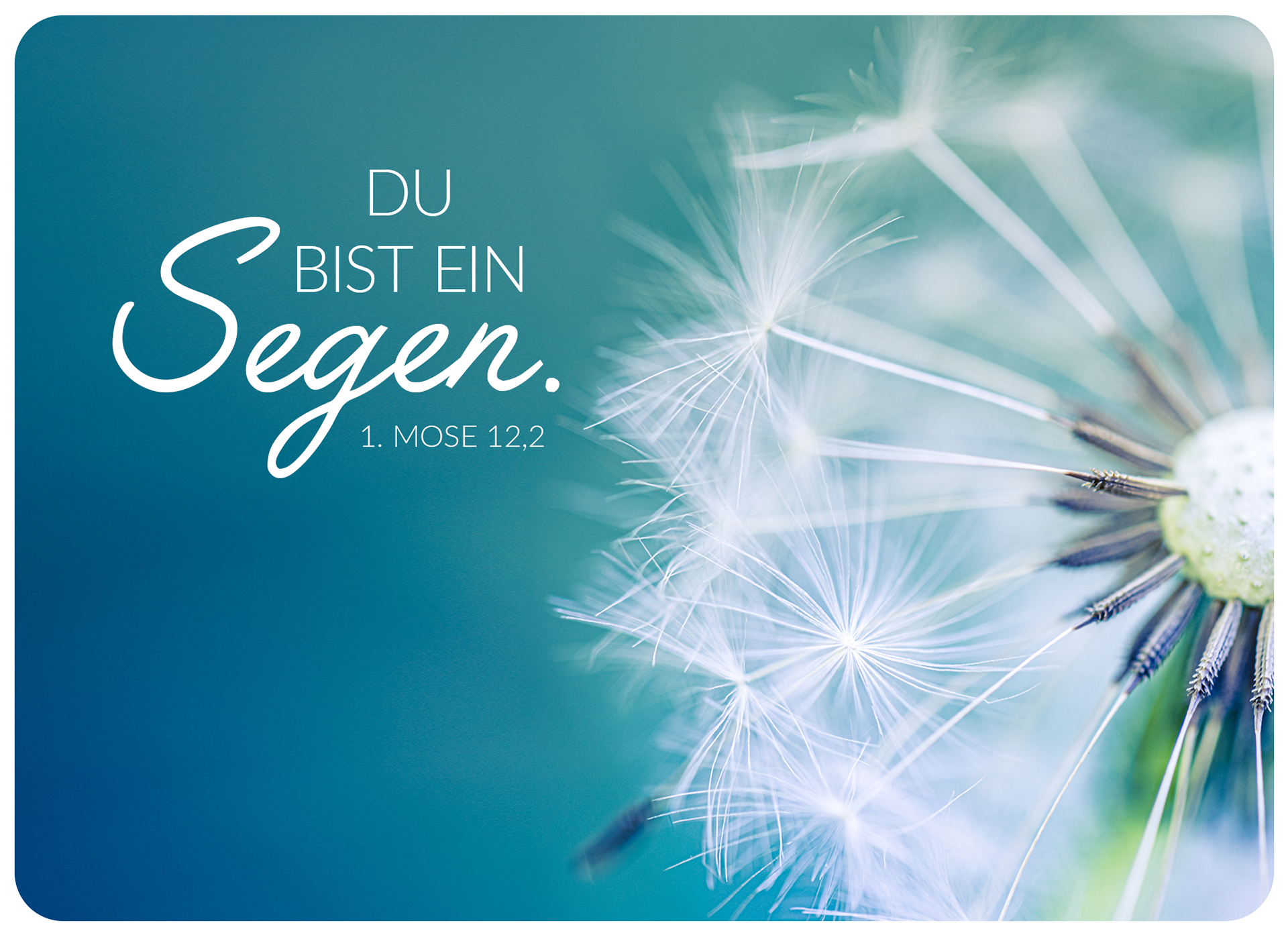 XL-Postkarte Big Blessing - Du bist ein Segen