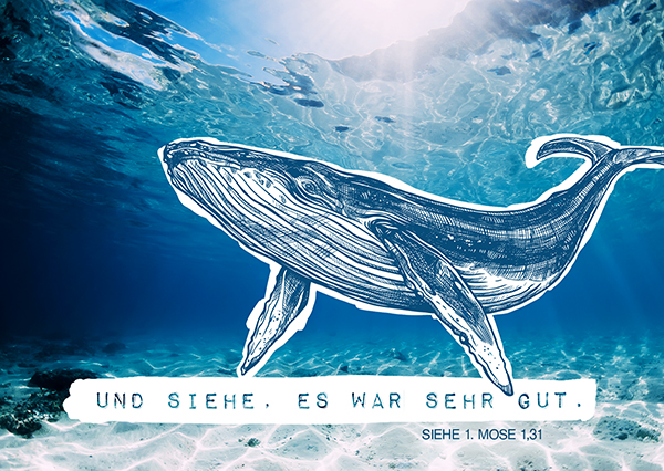 Postkarte - Wal Postkarte - Wal