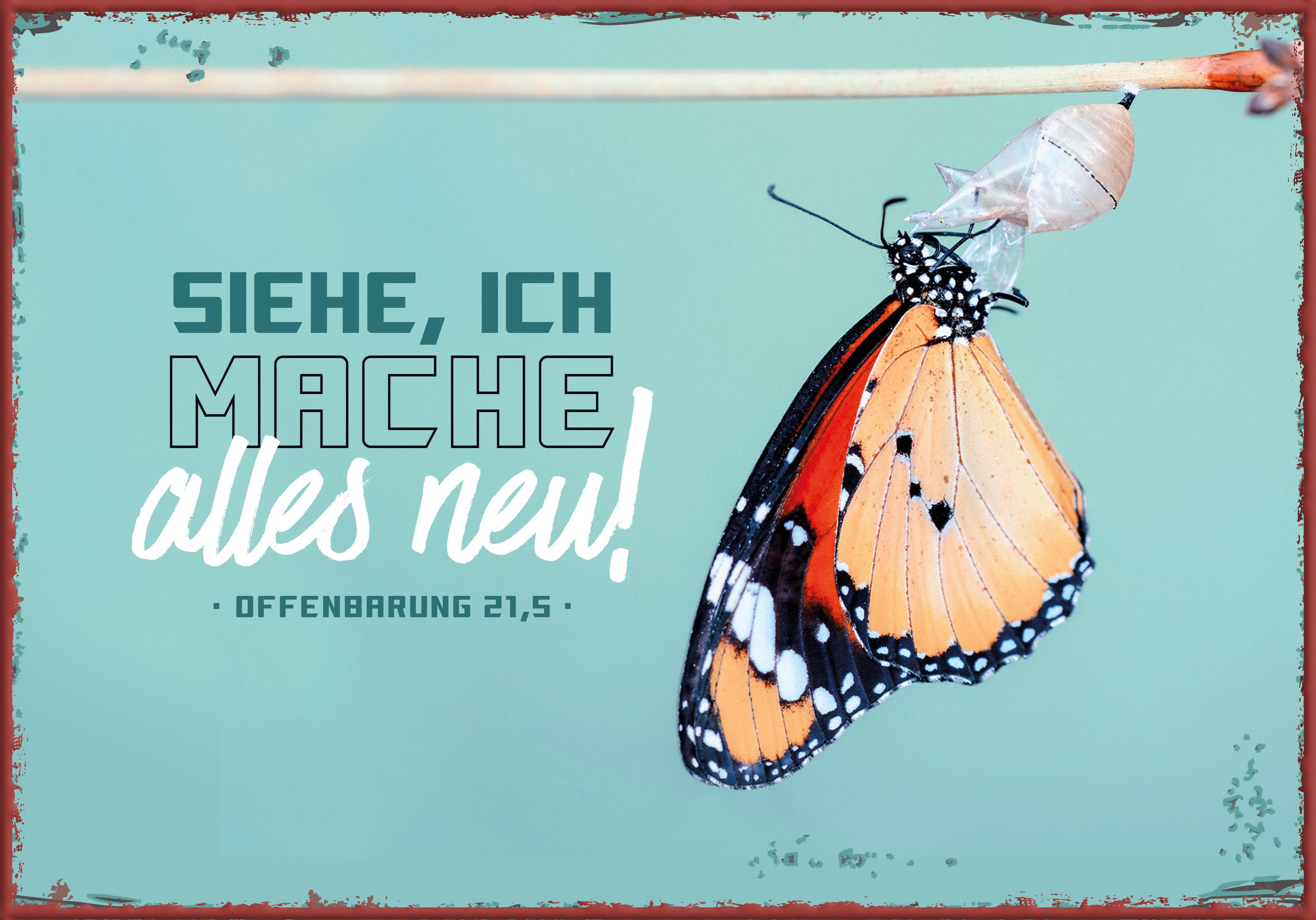 Metallschild klein - Jahreslosung 2026 - Schmetterling Metallschild klein - Jahreslosung 2026 - Schmetterling