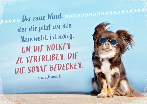 Postkarte - Der raue Wind Postkarte - Der raue Wind