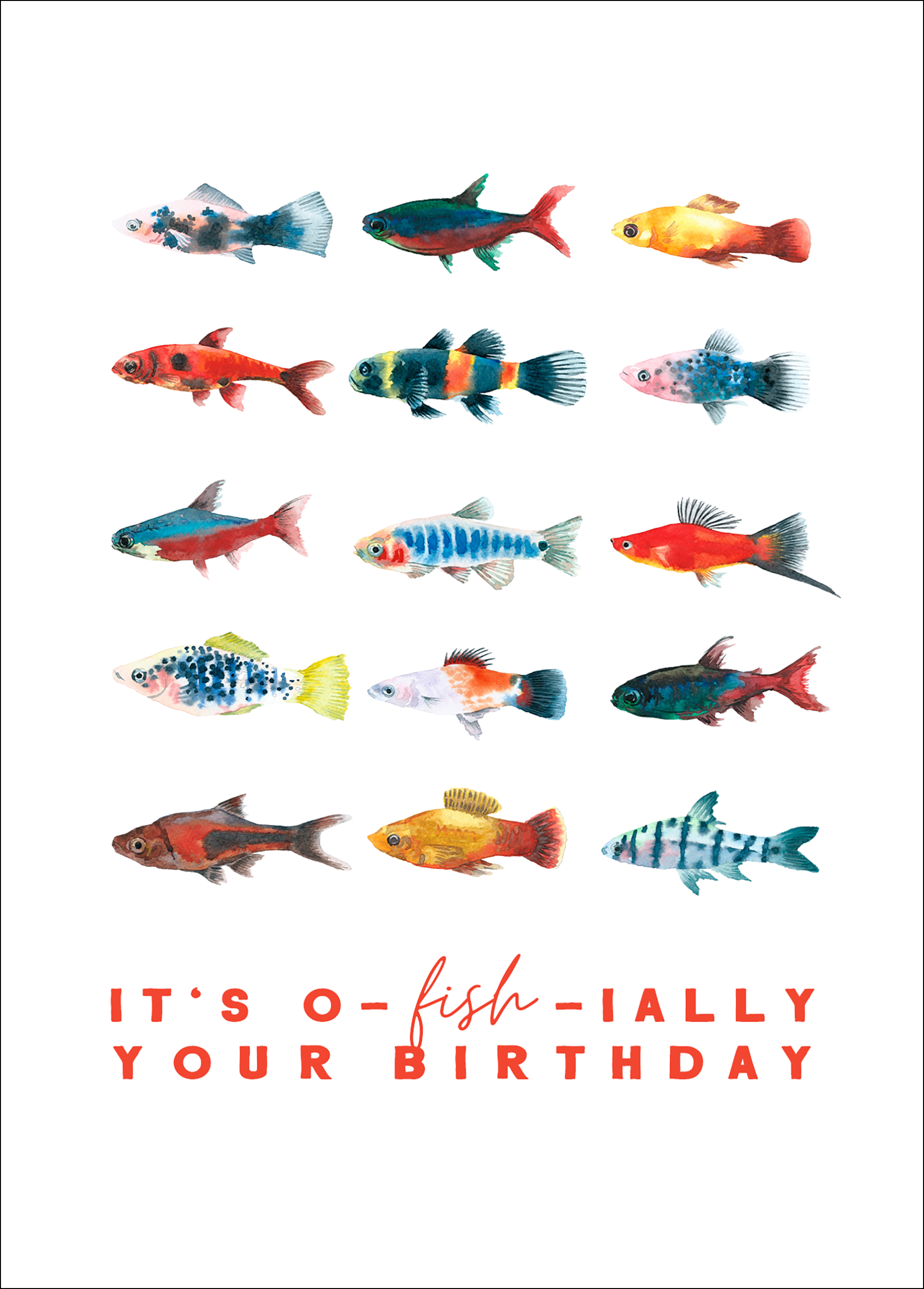 Postkarte - O-fish-ially your birthday
