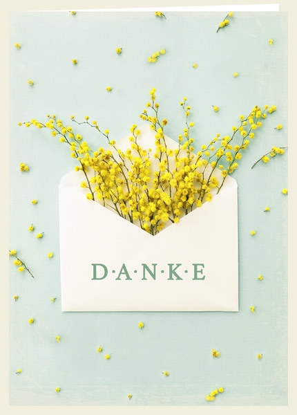 Faltkarte - Danke (Kuvert)