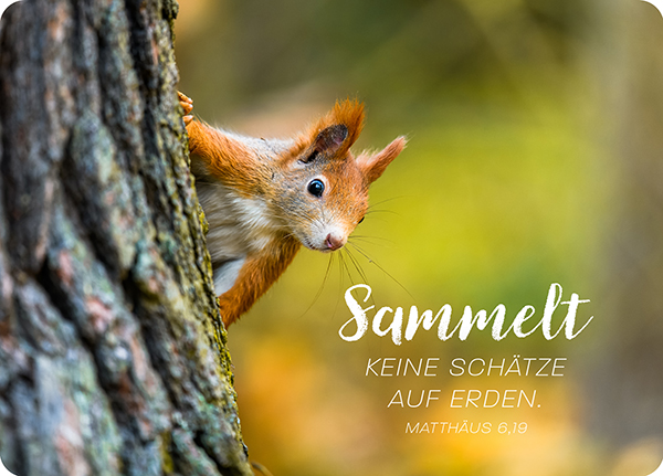XL-Postkarte Big Blessing - Sammelt keine Schätze XL-Postkarte Big Blessing - Sammelt keine Schätze