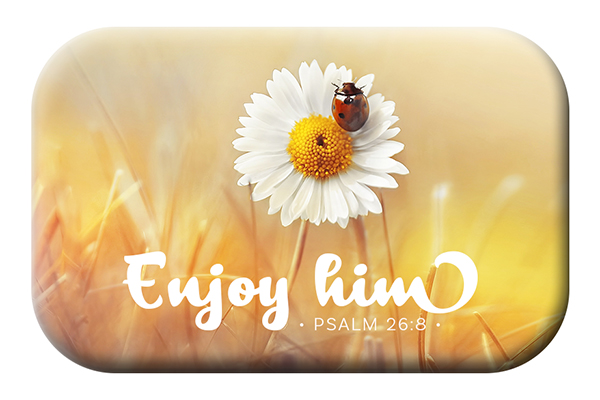 Magnet Mag Blessing - Enjoy him (Marienkäfer) Magnet Mag Blessing - Enjoy him (Marienkäfer)