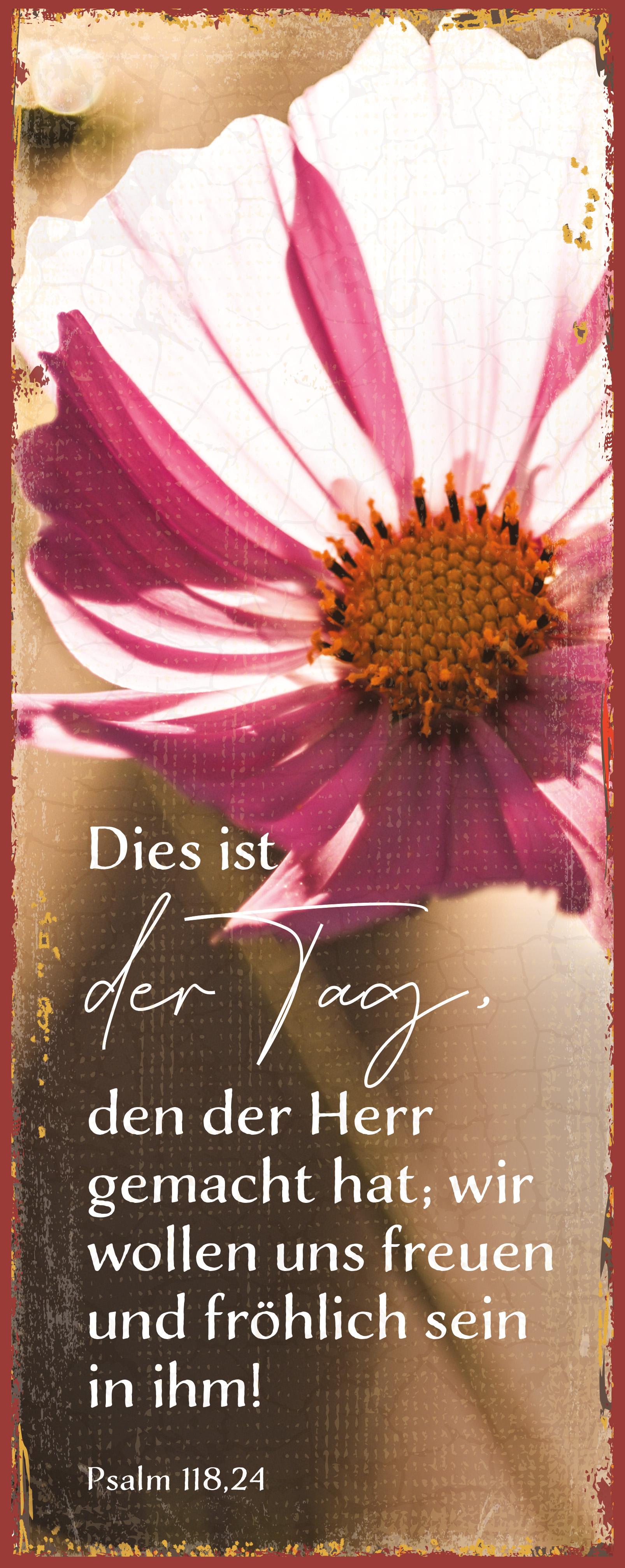 Metallschild lang – Dies ist der Tag Metallschild lang - Dies ist der Tag