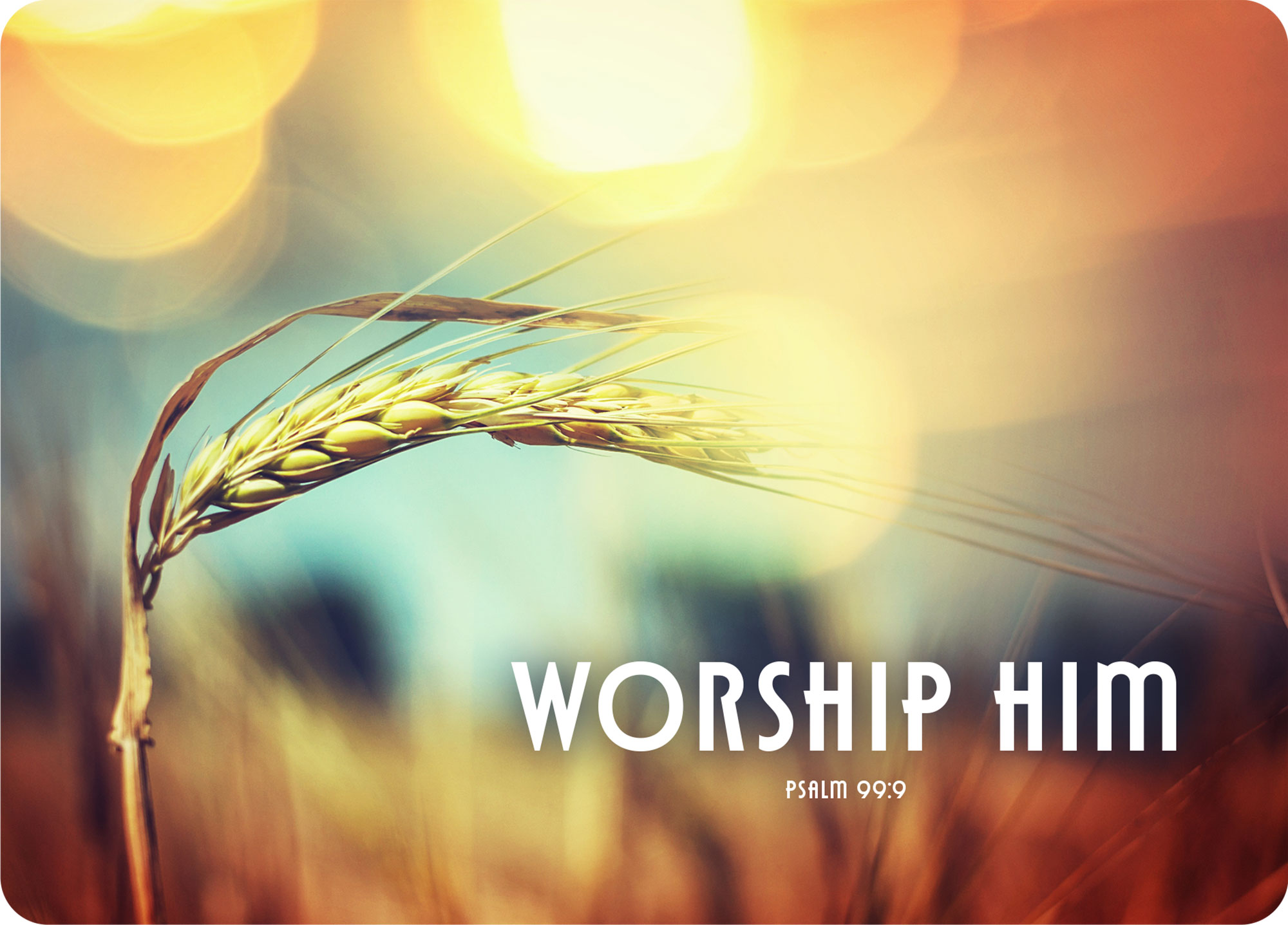 Big Blessing Postkarte – Worship him XL-Postkarte Big Blessing - Worship him