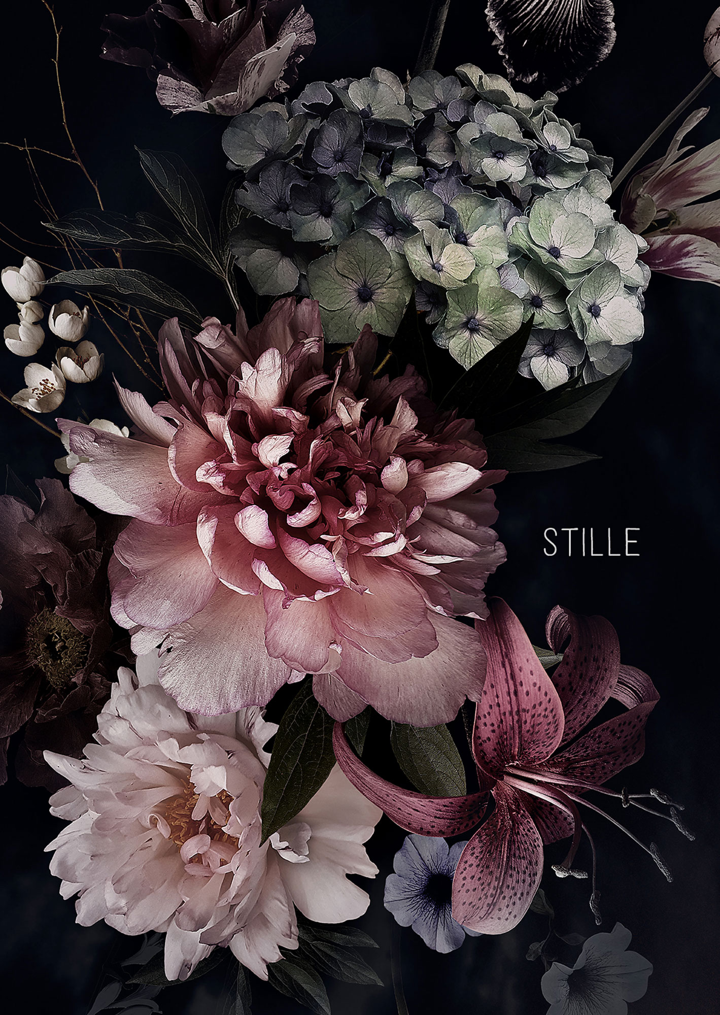 Doppelkarte – Stille (Ich gebe ihnen Hoffnung) Faltkarte - Stille (Ich gebe ihnen Hoffnung)