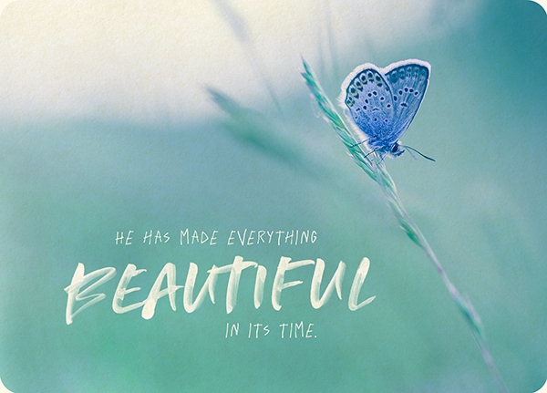 XL-Postkarte Big Blessing - Beautiful in its time XL-Postkarte Big Blessing - Beautiful in its time