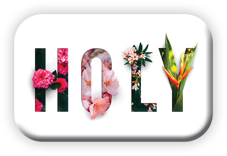 Magnet Mag Blessing - HOLY