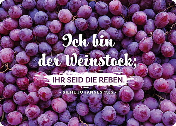 XL-Postkarte Big Blessing - Weinstock XL-Postkarte Big Blessing - Weinstock