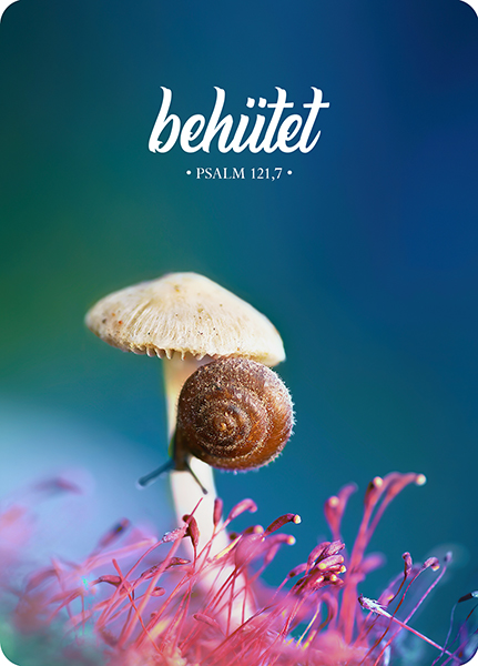 XL-Postkarte Big Blessing – Behütet XL-Postkarte Big Blessing – Behütet