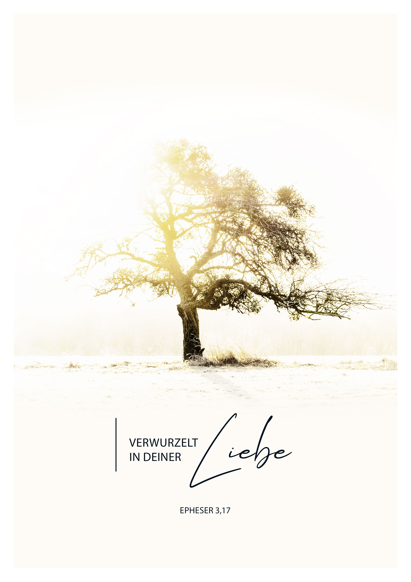 Poster – Verwurzelt in deiner Liebe Poster - Verwurzelt in deiner Liebe