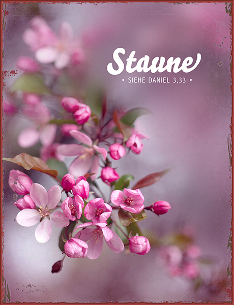 Metallschild groß - Staune (Blüten) Metallschild groß - Staune (Blüten)