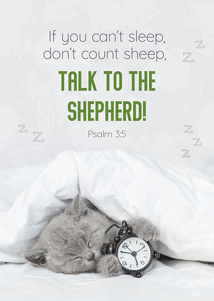 Postkarte - Talk to the shepherd