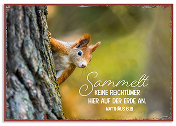 Metallschild klein – Sammelt keine Schätze Metallschild klein - Sammelt keine Schätze