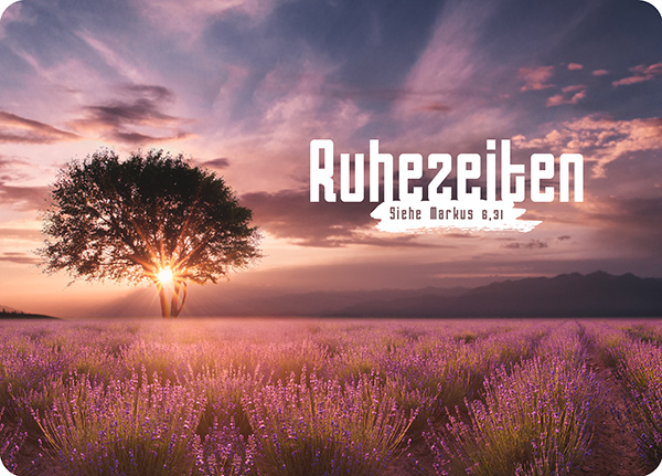 XL-Postkarte Big Blessing – Ruhezeiten (Baum) XL-Postkarte Big Blessing – Ruhezeiten (Baum)