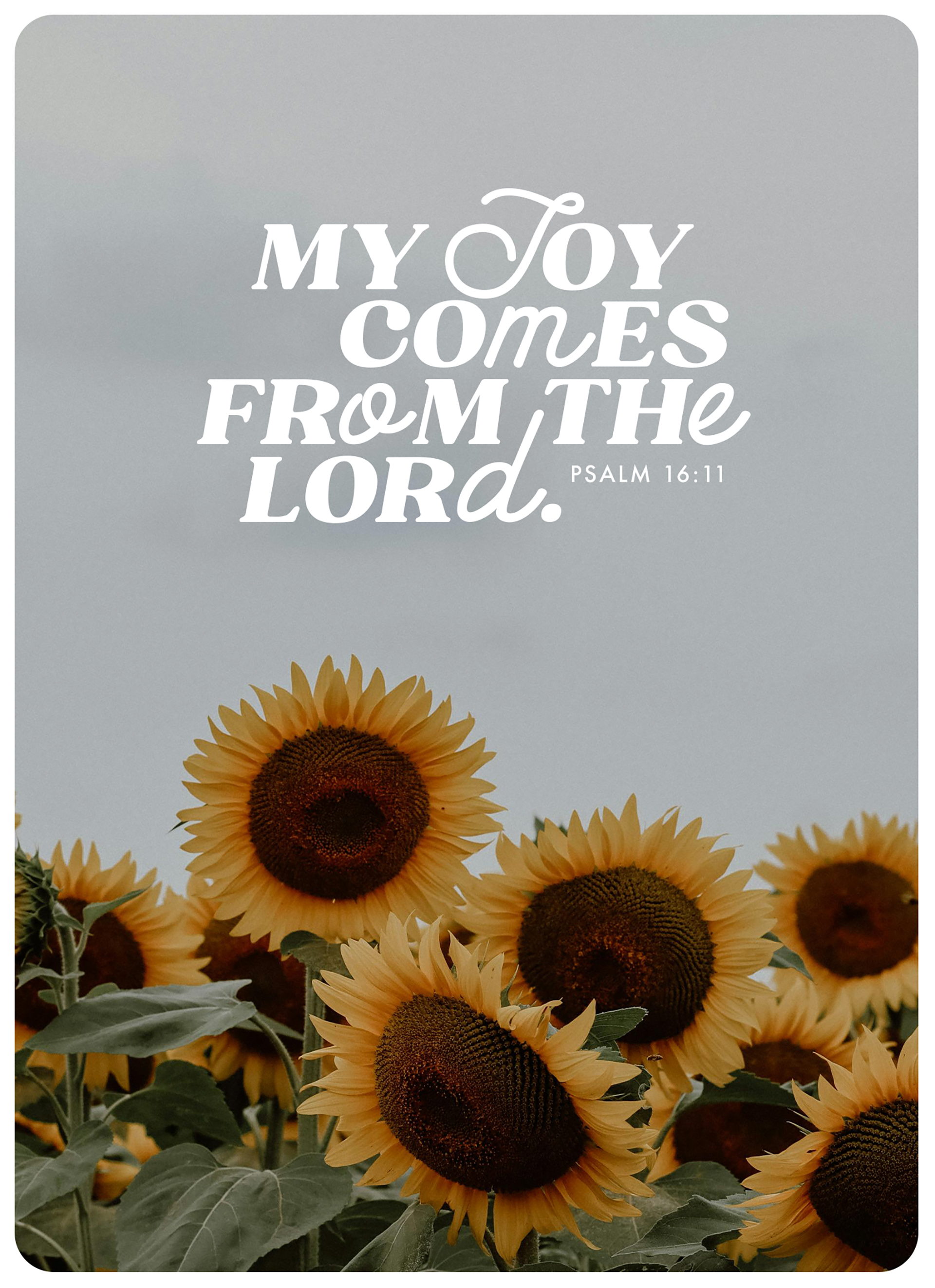 XL-Postkarte Big Blessing - My joy comes from the Lord