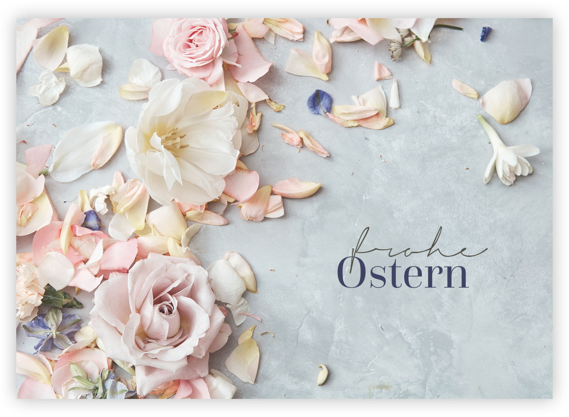 Postkarte – Frohe Ostern (Rosen) Postkarte - Frohe Ostern (Rosen)