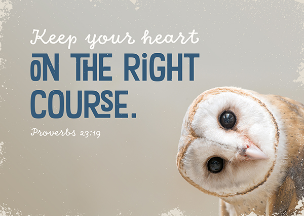 Postkarte – The right course Postkarte - The right course