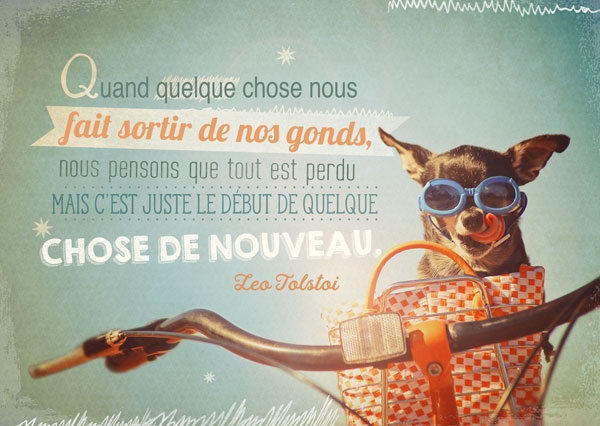 Postkarte - Chose de nouveau Postkarte - Chose de nouveau