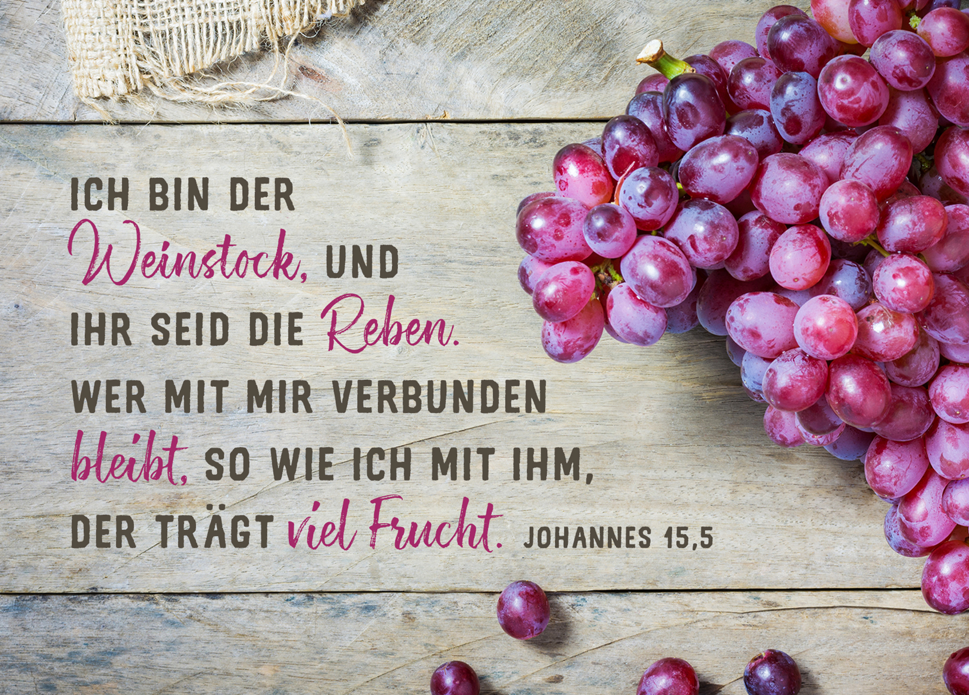 Postkarte - Ich bin der Weinstock