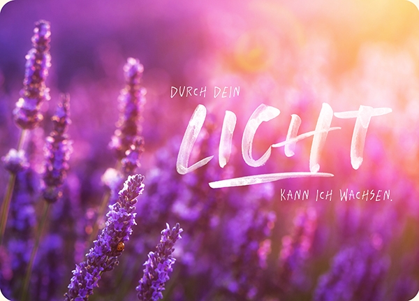 XL-Postkarte Big Blessing - Durch dein Licht