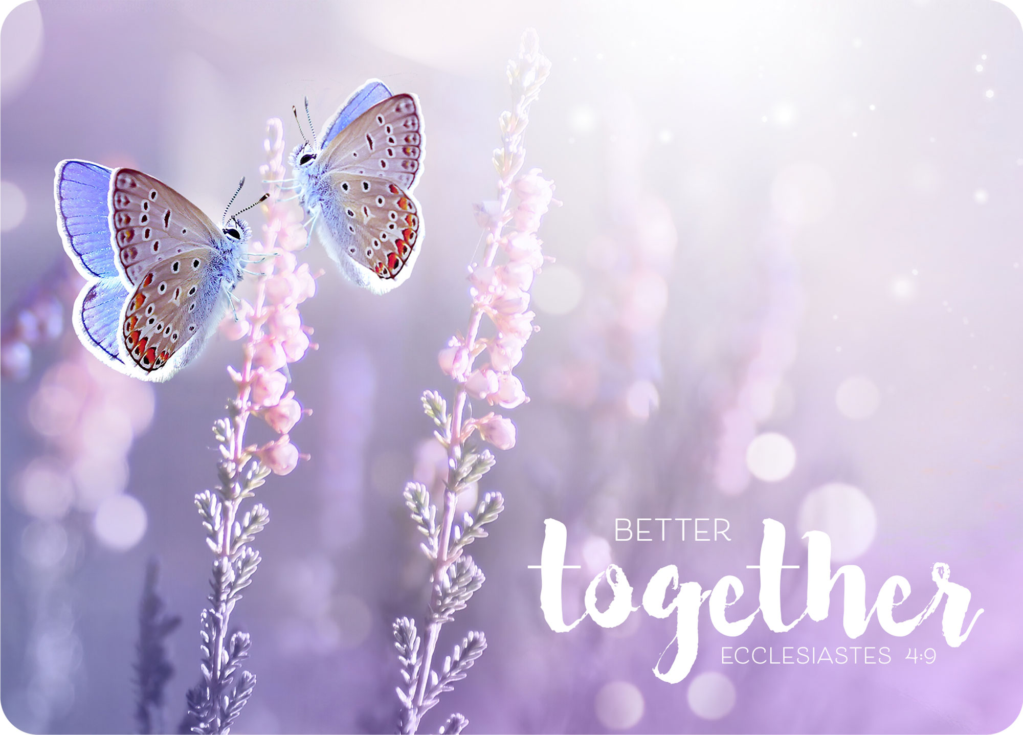 XL-Postkarte Big Blessing - Better together