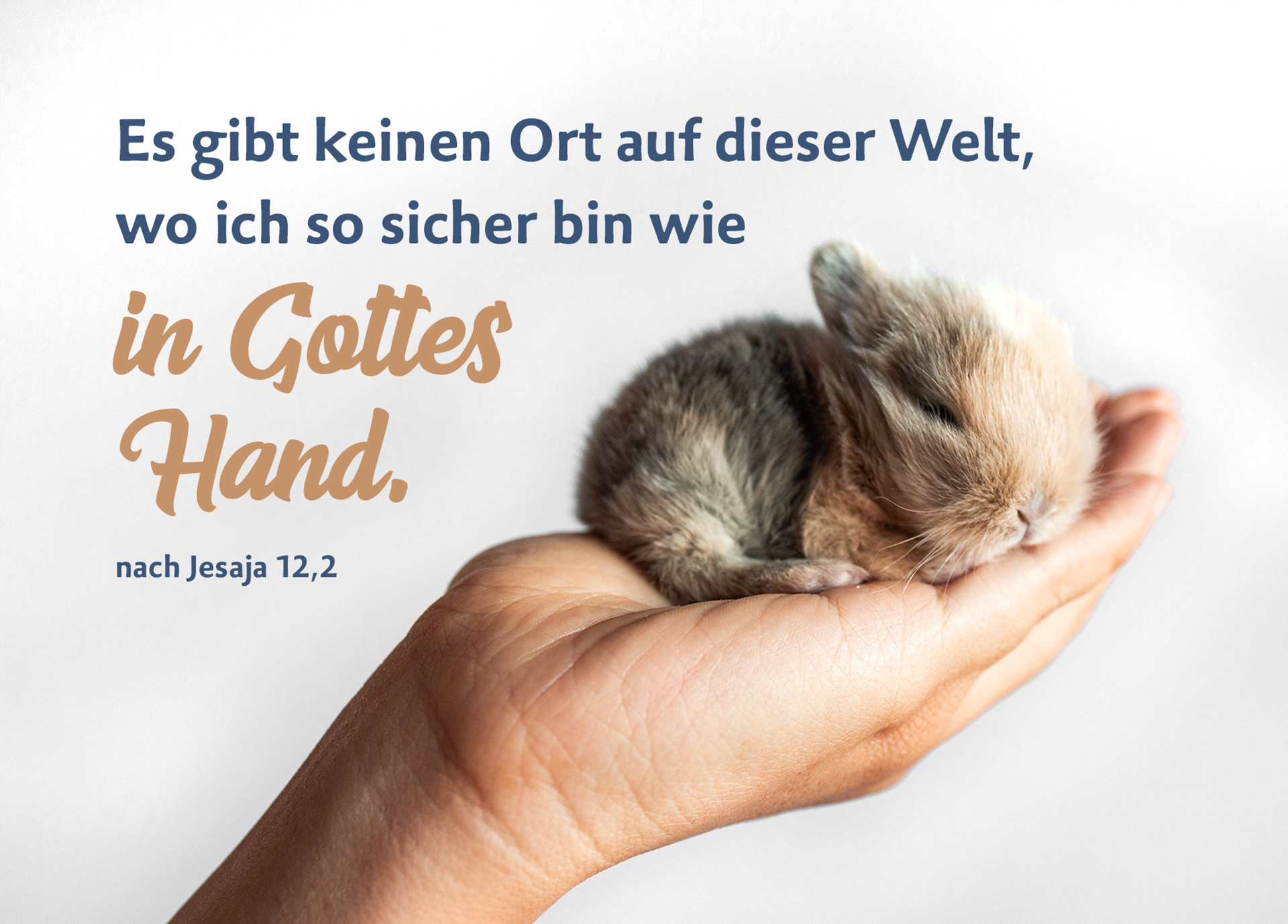 Postkarte - Sicher in Gottes Hand (Kaninchen)