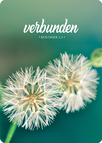 XL-Postkarte Big Blessing – Verbunden XL-Postkarte Big Blessing – Verbunden