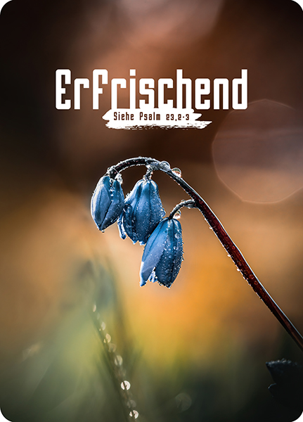 XL-Postkarte Big Blessing – Erfrischend XL-Postkarte Big Blessing – Erfrischend