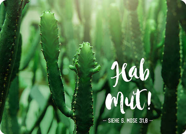 XL-Postkarte Big Blessing - Hab Mut XL-Postkarte Big Blessing - Hab Mut