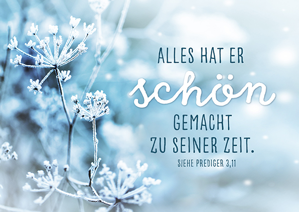 Postkarte - Schön gemacht Postkarte - Schön gemacht