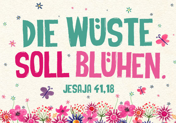 Mini - Wüste soll blühen Mini - Wüste soll blühen