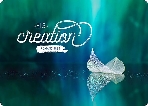 XL-Postkarte Big Blessing – His creation XL-Postkarte Big Blessing – His creation