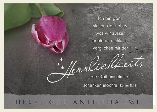 Doppelkarte - Herzl. Anteilnahme – Herrlichkeit (Tulpe)