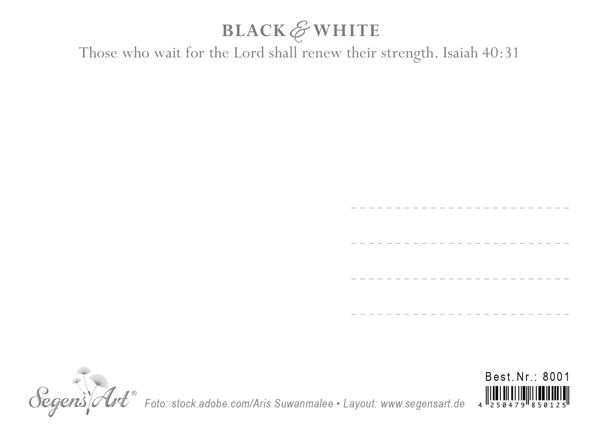 Postkarte Black & White - Wait for