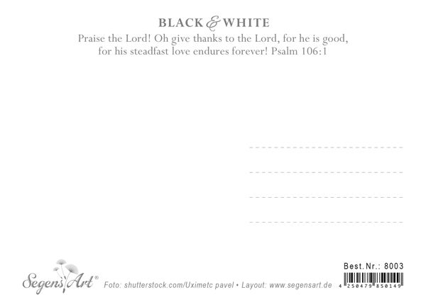 Postkarte Black & White - Praise God