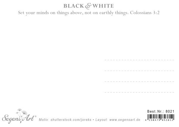 Postkarte Black & White - Focus