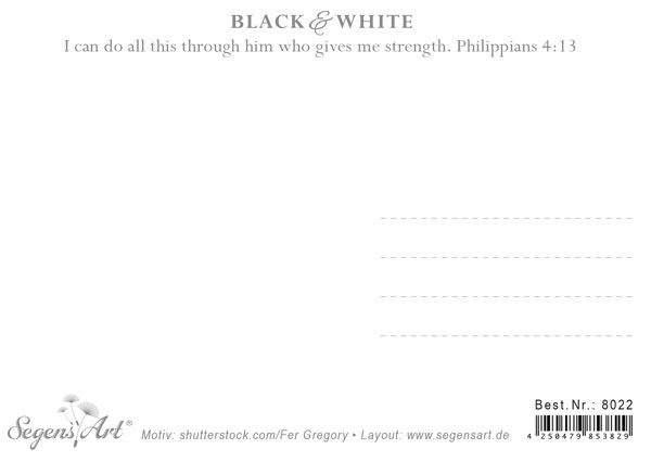 Postkarte Black & White - Make history