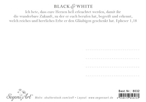 Postkarte Black & White - Hoffnung in ihm