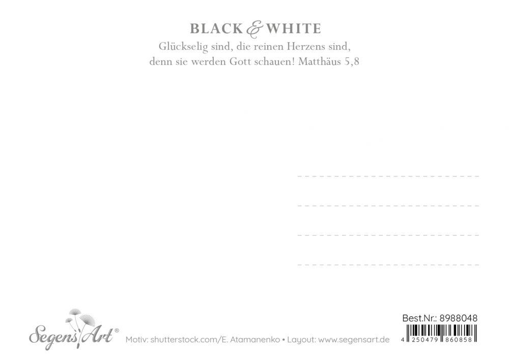 Postkarte Black & White - Glückselig