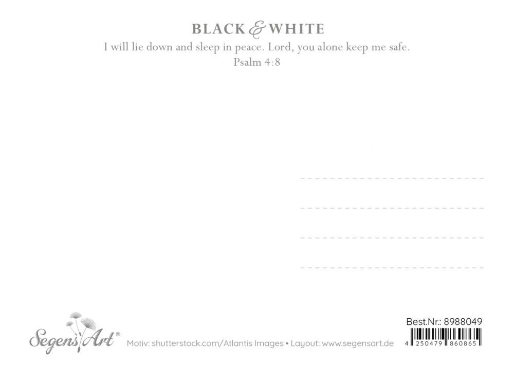 Postkarte Black & White - Relax