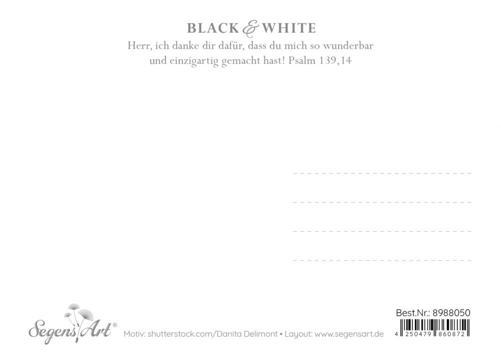 Postkarte Black & White - Einmalig