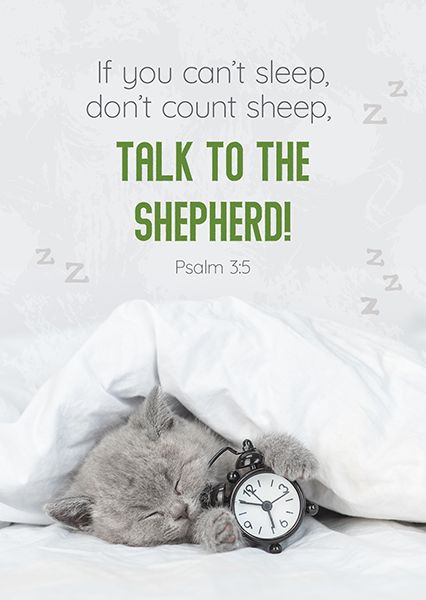 Postkarte – Talk to the shepherd